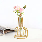 Flower Vases with Iron Art Frame